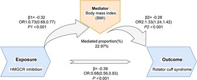 A causal association between lipid-lowering medications and rotator cuff syndrome: a drug-targeted mendelian randomization study